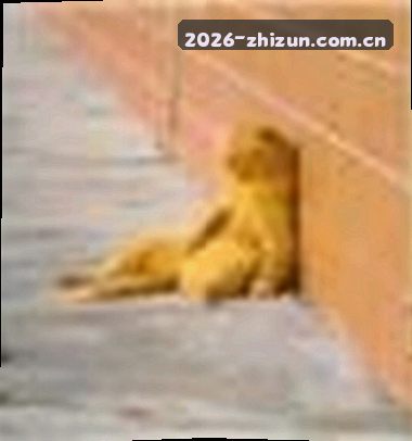 吴杰